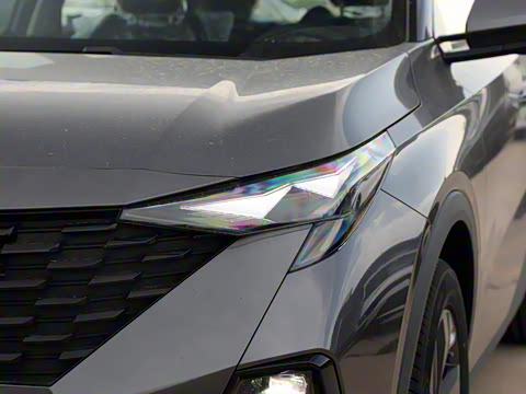 2025�� Ӱ�� 270T ������ ƽ������