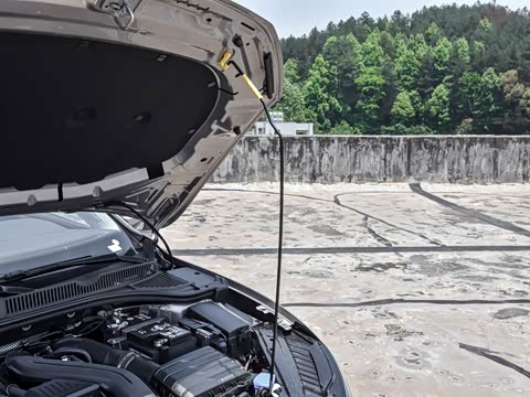 2025�� �Ŀ�� 300TSI DSG��Խ��