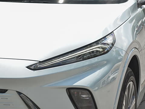 2023�� ������������