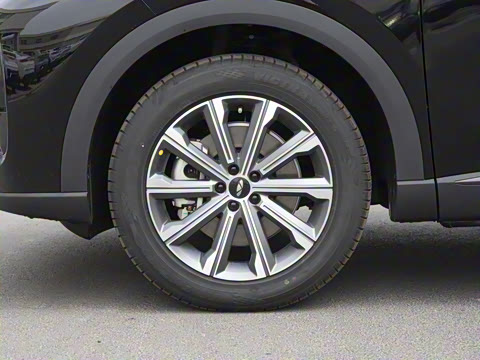 2025�� 120 �������������� 7�� �������