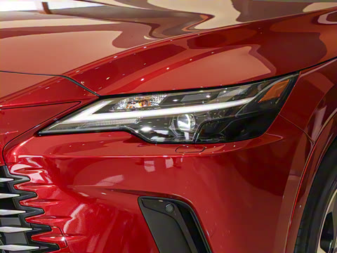 2025�� 300 ����������