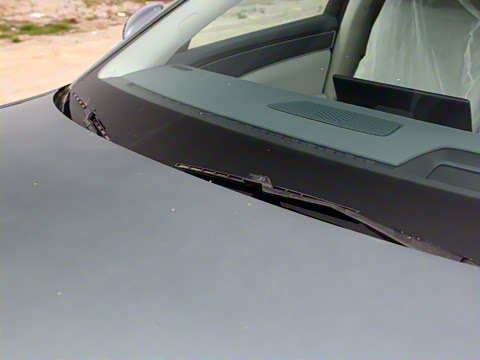 2025�� EV ���������״��콢��