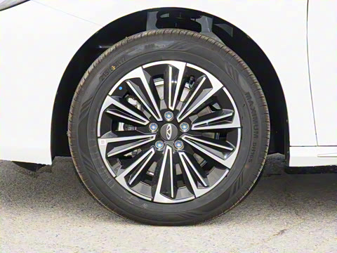 2025�� 70km ��׼��