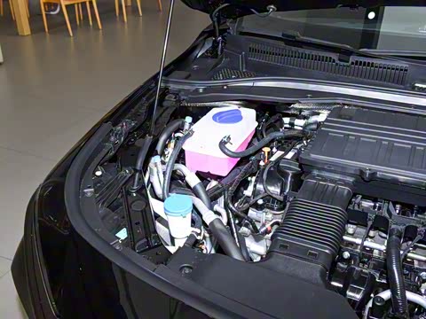 2025�� 70km ��׼��