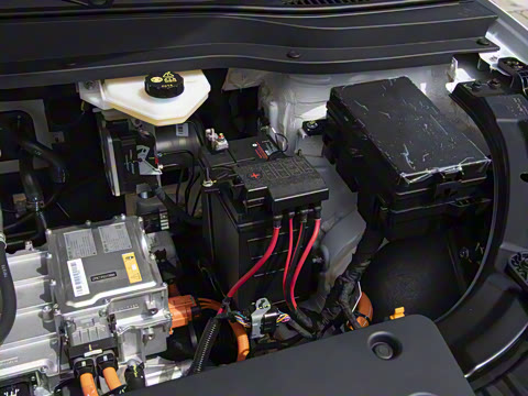 2025�� 445km ���ð�