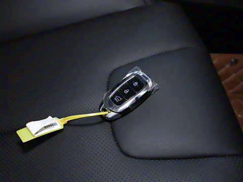 2020�� 380 TGDi �Զ�����DLX HTRAC����PLUS