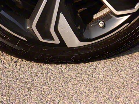 2019�� ����