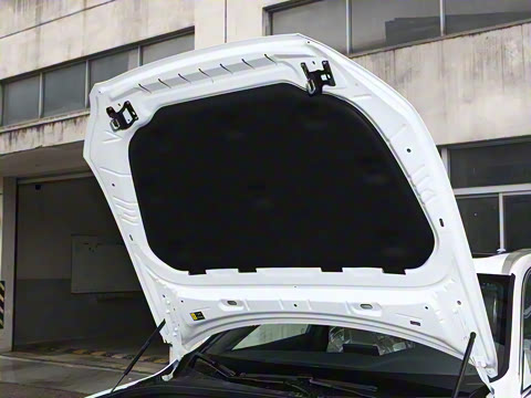 2026�� B5 ������Զ������