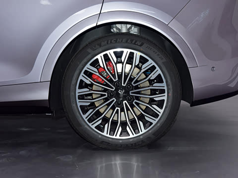 2025�� FREE+ ����Ǭ����