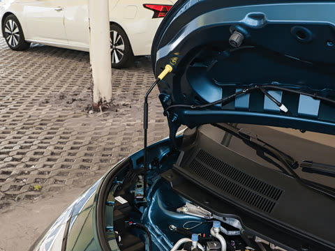 2025�� 330�ǻ԰�