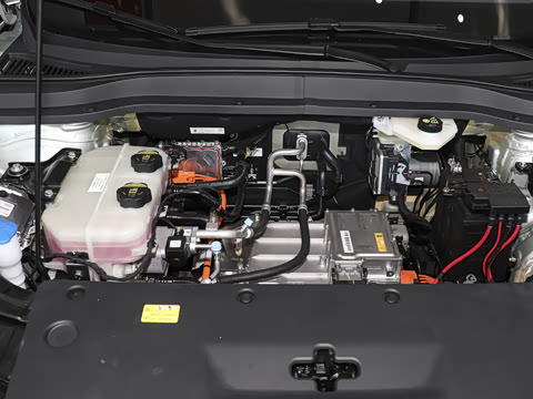 2025�� 565km ������