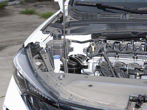 2025�� PLUS 1.5L �ֶ�������