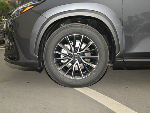 2023�� 260 ǰ�� �����ر��