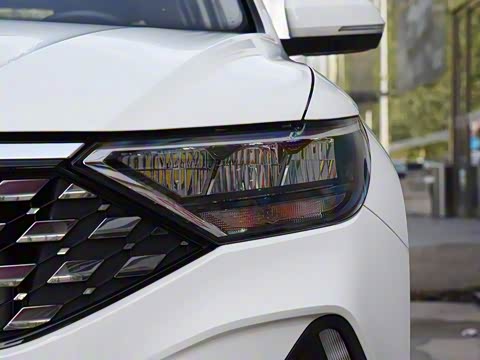 2019�� 280TSI �Զ���ҫ��