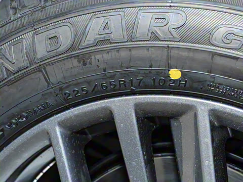 2025�� ���� 2.0L �������Ȱ�