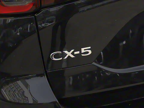 2024�� 2.0L �Զ�����������