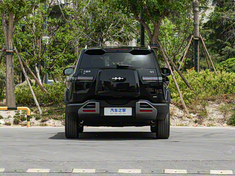 2025�� 501KM ����Max��