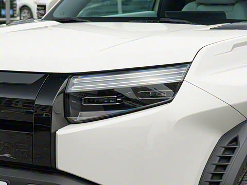 2025�� 501KM ����Max��