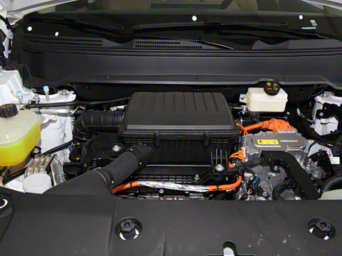 2025�� 165km ���������������� 7��