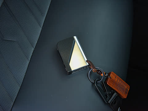 2021�� 2.0T PHEV Halo ����