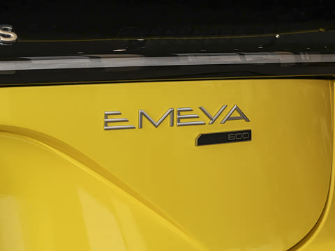 2025�� 600 ������