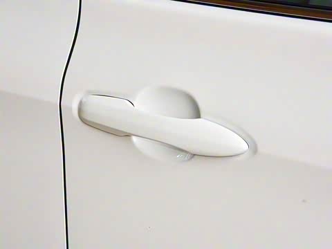 2019�� 2.5L ��ȡ�� ��V