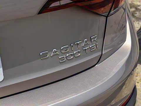 2025�� �Ŀ�� 300TSI DSG��Խ��