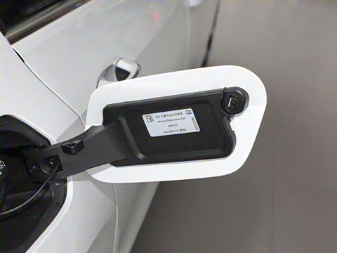 2025�� �Ŀ� 300TSI Pro