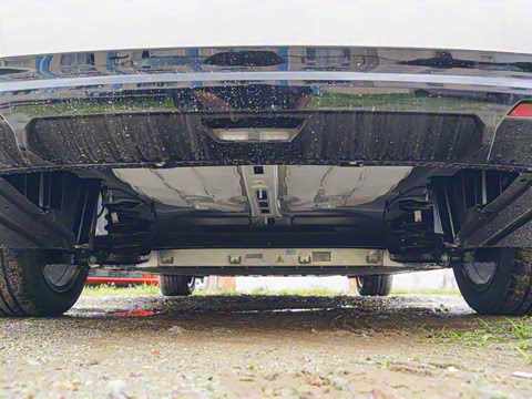 2025�� 650 ������