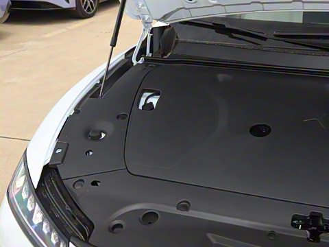 2025�� ���� 230Pro�캽��