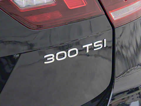 2024�� 300TSI �Զ�����������