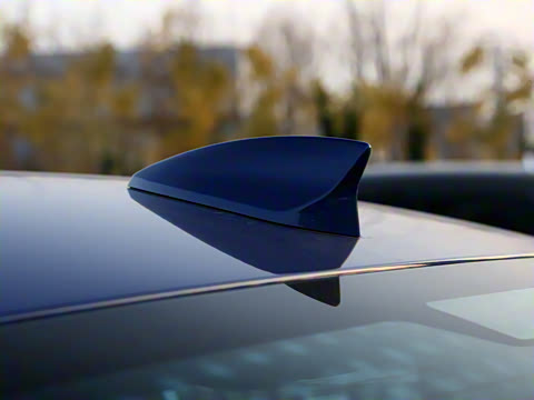 2021�� 28T ������