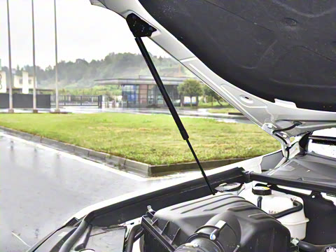 2023�� 4.6L V8 �캽��