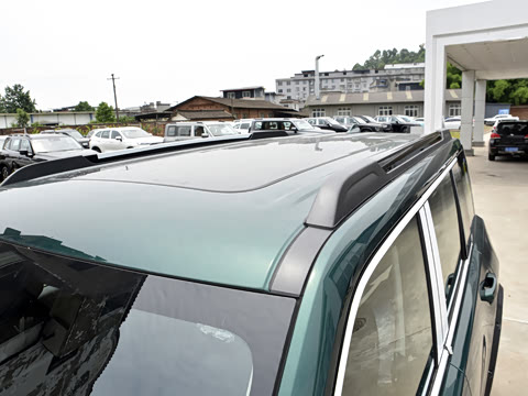 2025�� 2.0T 4WD Pro