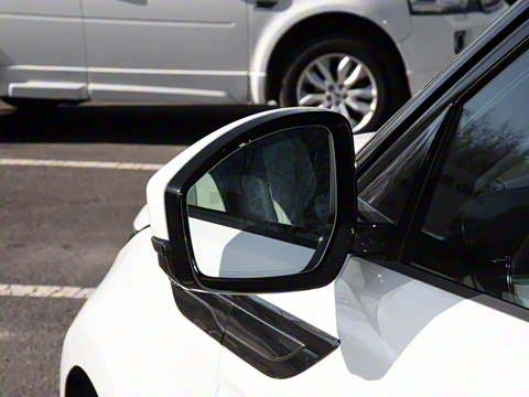 2021�� ����L P300e ������