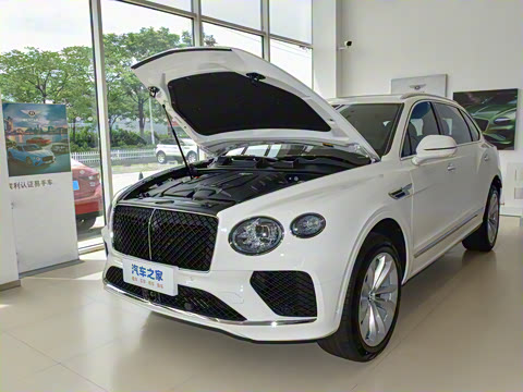 2026�� 4.0T V8 ������