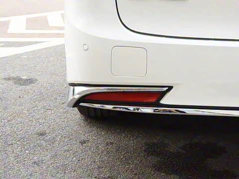 2020�� 300h ����������