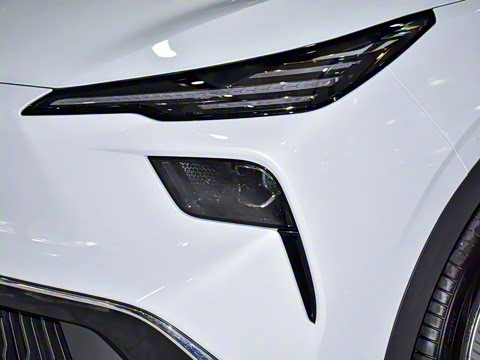 2025�� 445km ��ѡ��