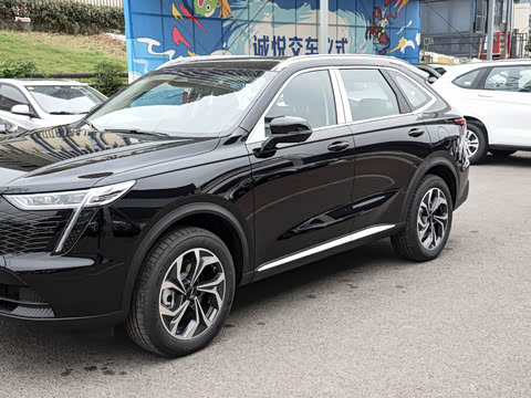 2023�� 1.5L Hi4 105 �����캽��