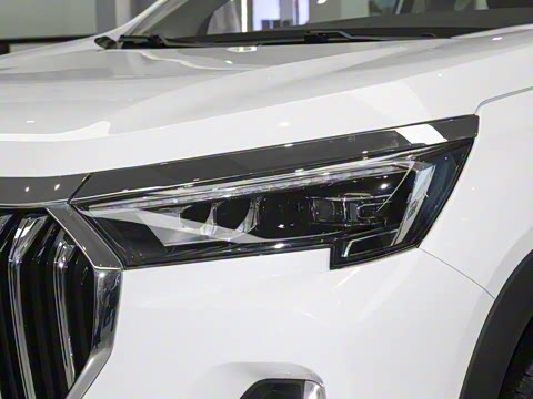 2025�� 1.6TD DCT��Ӣ�� 7��