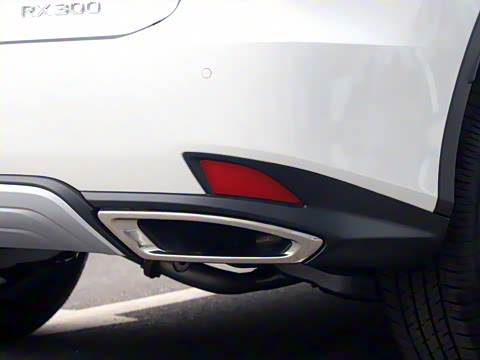 2020�� �Ŀ� 300 ������Ӣ��