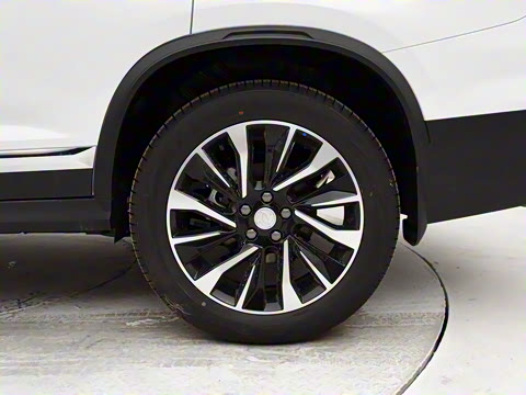 2020�� �Ŀ�� 1.5T �Զ������ 7��