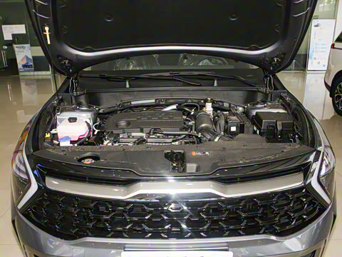 2025�� 2.0T ��������