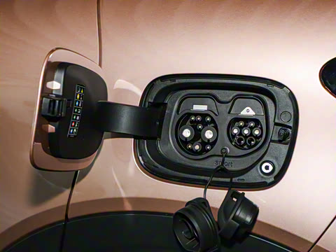 2026�� �鶯��������