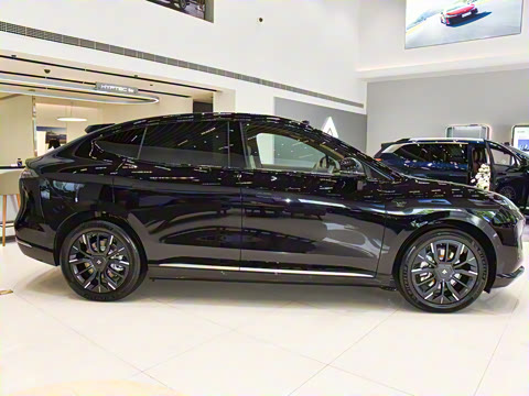 2025�� 825 Max��