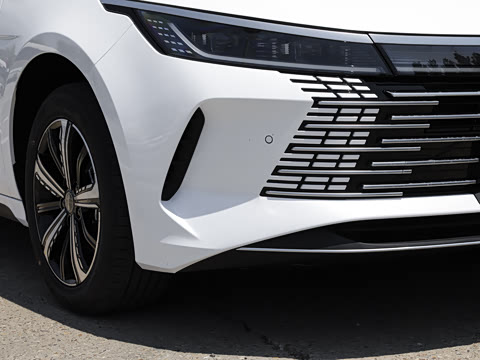 2023�� �ھ��� DM-i 120KM �콢��