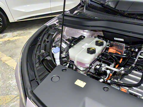 2025�� 445km ��ѡ��