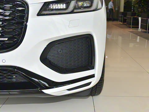 2024�� P250 R-Dynamic SE