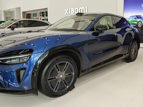 2025�� ��������������