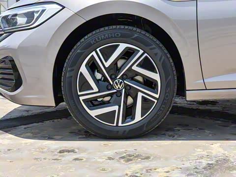 2025�� �Ŀ�� 300TSI DSG��Խ��